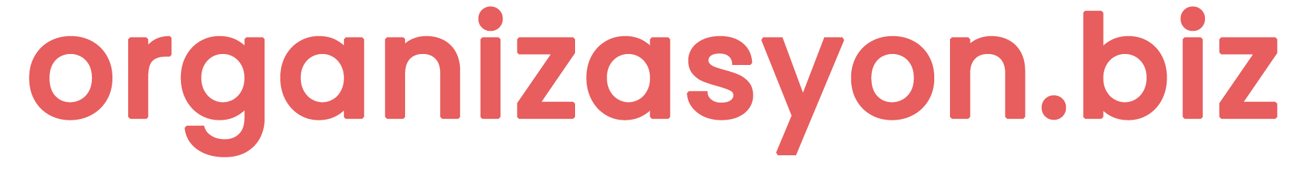 blog.organizasyon.biz